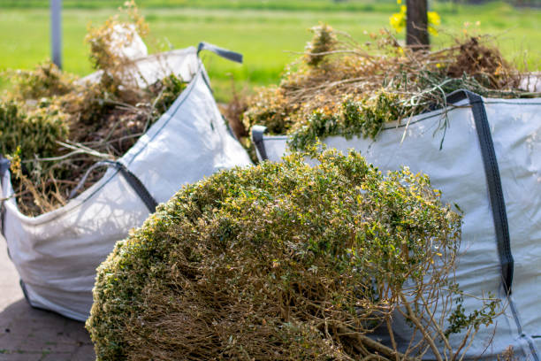 Best Same-Day Junk Removal  in Cave Creek, AZ